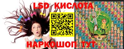 молекула духа Камень-на-Оби