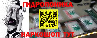 молекула духа Камень-на-Оби