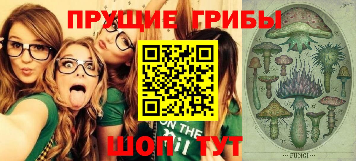 сколько стоит  Псилоцибиновые грибы Psilocybe  Вход с VPN  Беслан 
