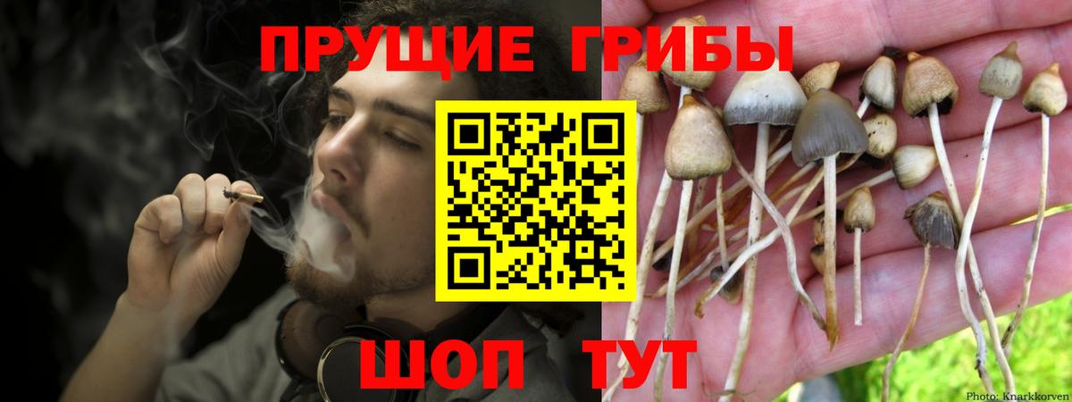 Галлюциногенные грибы Magic Shrooms Беслан